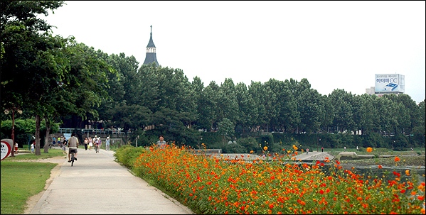 대봉교에서 수성교 사이 신천..
