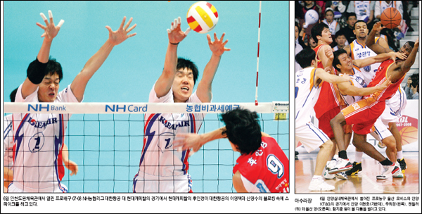 경북일보 1월 7일자 22면과 23면...연합뉴스 사진을 게재하면서 출처를 밝히지 않았다.