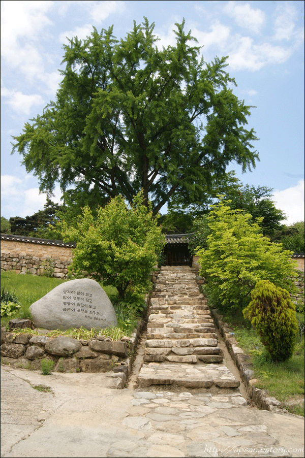 "경내를 돌아보고 나오면서 올려다본, 푸른 하늘을 배경으로 서 있는 지보사의 전경" / 사진. 정수근