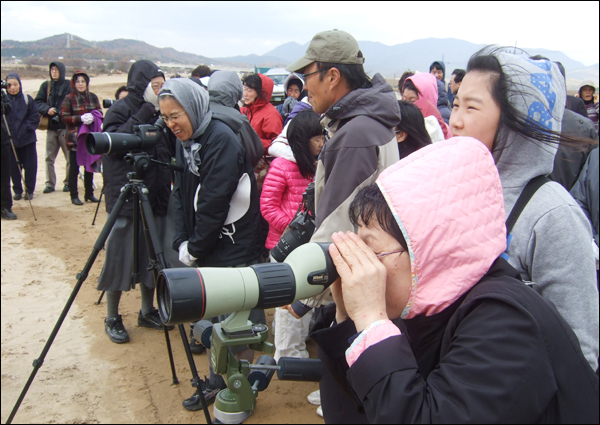 참가자들이 뚝방 위에서 망원경으로 낙동강 건너 철새의 모습을 관찰하고 있다 / 사진. 평화뉴스 박광일 기자