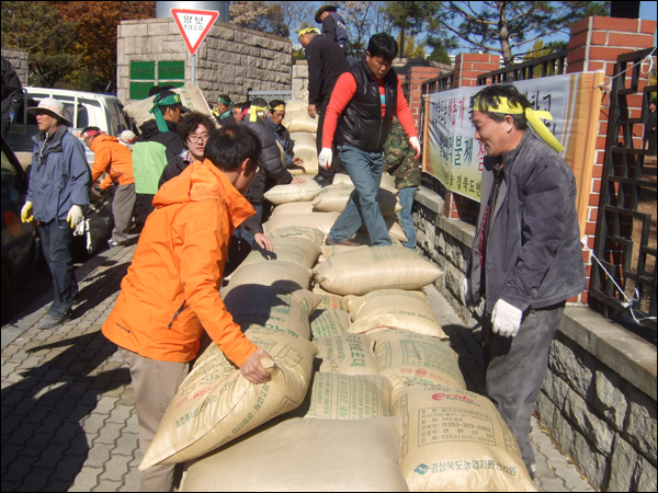 농민들이 경북도청 앞에서 쌀 1,000여 가마를 쌓고 있다(2010.11.15) / 사진. 평화뉴스 박광일 기자