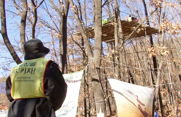 앞산터널 공사를 반대하는 시민들이 대구시 달서구 달비골 나무 위에서 공사 중단을 촉구하는 고공농성을 벌이고 있다(2008) / 사진제공. 앞산꼭지