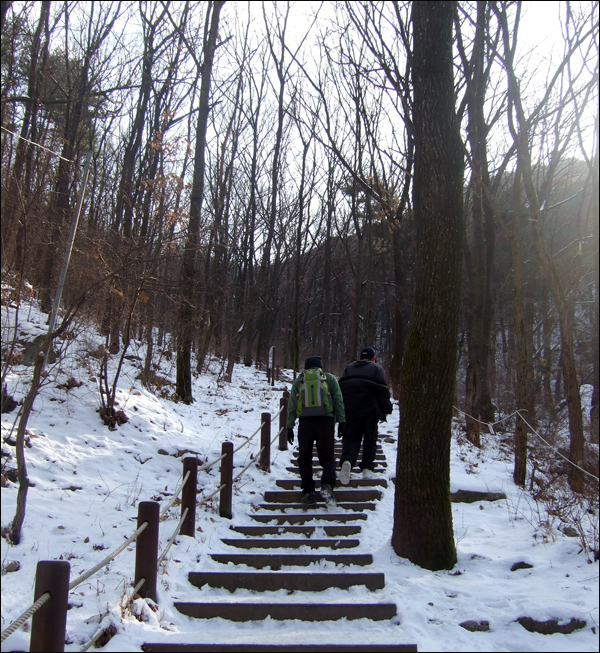 앞산 정상을 향해 오르는 시민들... / 사진. 평화뉴스 박광일 기자
