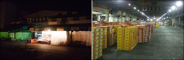 새벽 4시부터 환하게 불을 밝힌 새벽 도매시장의 모습(좌)과 끝이 보이지 않을 정도로 경매장에 적재 된 감귤 상자들(우) / 사진. 평화뉴스 박광일 기자