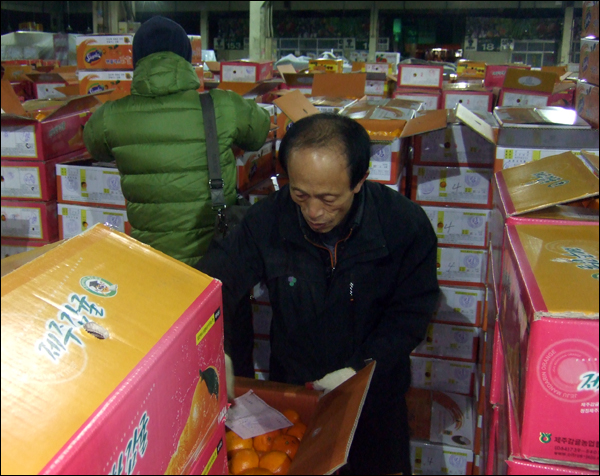 새벽 2시부터 나와 전날 들어온 상품을 확인하고, 중도매인들이 상품을 잘 볼 수 있도록 맨 윗 상자를 개봉하고 있는 김태호 현장감독(앞)과 4시부터 경매장에 나와 맛을 본 뒤 미리 상품을 점찍어 놓은 '아지야 과일가게' 최두형 대표 / 사진. 평화뉴스 박광일 기자