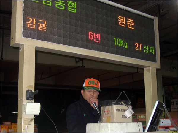 전동차 위에서 쉴 새 없이 마이크를 들고 경매를 진행 중인 박수환 경매사 / 사진. 평화뉴스 박광일 기자