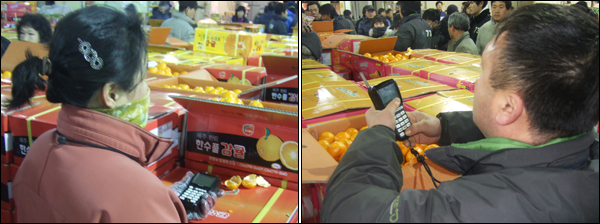 전자응찰기를 들고 미리 점찍어 둔 상품의 경매가 시작되기만을 기다리는 중도매인들 / 사진. 평화뉴스 박광일 기자