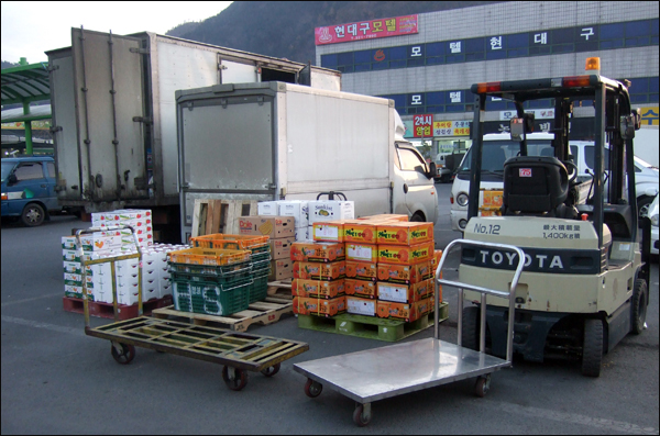 경매장 앞 주차장에 낙찰 받은 상품을 싣기 위해 트럭들이 대기하고 있다 / 사진. 평화뉴스 박광일 기자