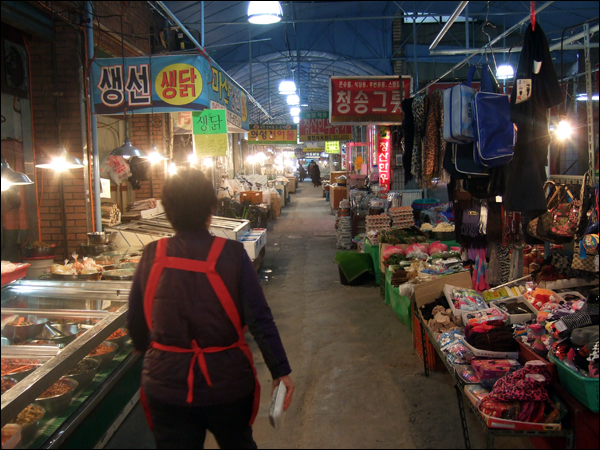 대구시 동구 율하동 '목련종합시장'...100m 남짓 시장골목 안을 상인들만 간간이 지나다닐 뿐, 설 대목 분위기는 찾아보기 힘들었다(2011.1.28 오후 5시) / 사진. 평화뉴스 박광일 기자