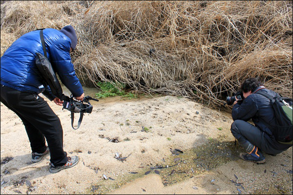 투어단이 내성천 탑사를 하고 있다. 이들은 내성천에서 수달의 흔적을 발견하고 그 현장을 카메라로 담고 있다. 영상을 담고 있는 이가 <애코채널 라디오인TV>의 고철 대표. 그 옆이 <내일신문>의 남준기 기자 / 사진. 정수근