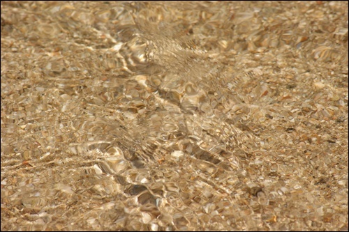 강물과 함께 흐르는 내성천 금모래의 모습. 투명한 물 밑으로 내성천 금모래가 물과 함께 흘러간다 / 사진. 정수근