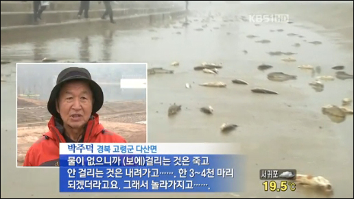 < KBS대구 > 2011년 10월 24일 뉴스 화면 캡처