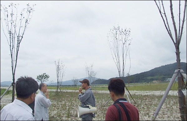 구미보 수변 생태공원에 있는 나무들이 고사된 채 방치되고 있다(2012.8.22) / 사진. 평화뉴스 김영화 기자