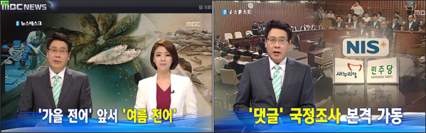 MBC 뉴스데스크(2013.7.24) / '국정조사' 뉴스 바로 앞에 '여름 전어' 보도를 내보냈다.