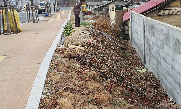 불로천 정비공사 후 마을 앞 강변 지대가 4m 가까이 높아져 비가 내리면 침수피해가 잦아졌다(2013.12.30) / 사진. 지저동 저지대 주민대책위
