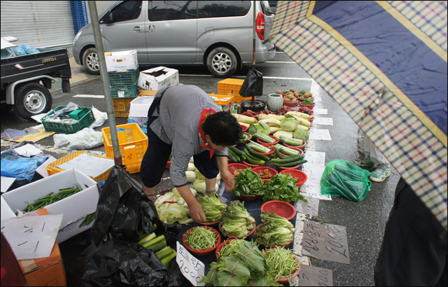 매천시장에서 사온 채소를 팔고 있는 할머니(2015.8.20) / 사진. 평화뉴스 박성하 인턴기자