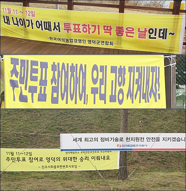영덕군 내에 설치된 주민투표 참여 독려 현수막(2015.11.11) / 사진.평화뉴스 김영화 기자
