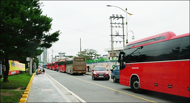 서울로 가기 위해 성주읍 성밖숲에 일렬로 늘어선 버스들(2016.7.21) / 사진.평화뉴스 김지연 기자