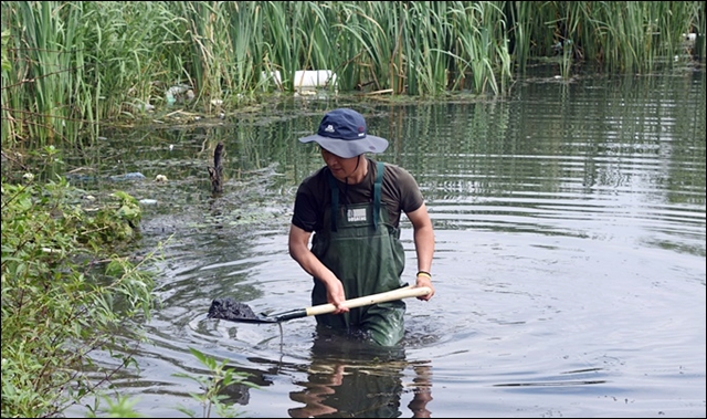 환경단체 활동가가 매곡정수장 인근 강에서 뻘을 퍼올리고 있다 / 사진제공.대구환경운동연합