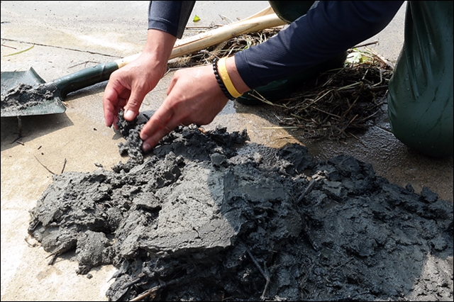환경단체가 달성보 아래 강바닥에서 퍼올린 진흙덩어리(2016.9.8) / 사진.평화뉴스 김지연 기자