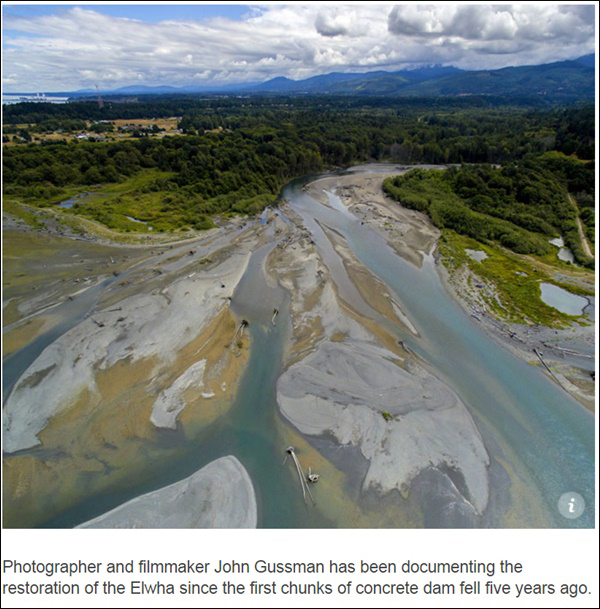 미국의 엘와강 댐이 철거된 이후 하구의 생태계도 살아났다 ⓒ Amerivan Rivers 화면 갈무리