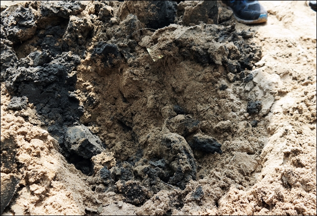 사문진교 아래 쌓인 모래를 파내자 검은 뻘이 쌓여 있었다(2017.3.27) / 사진.평화뉴스 김지연 기자