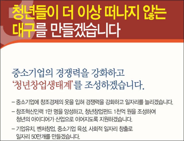 2014년 지방선거 당시 권영진 후보의 청년일자리 공약 / 출처.권영진 후보 공약집