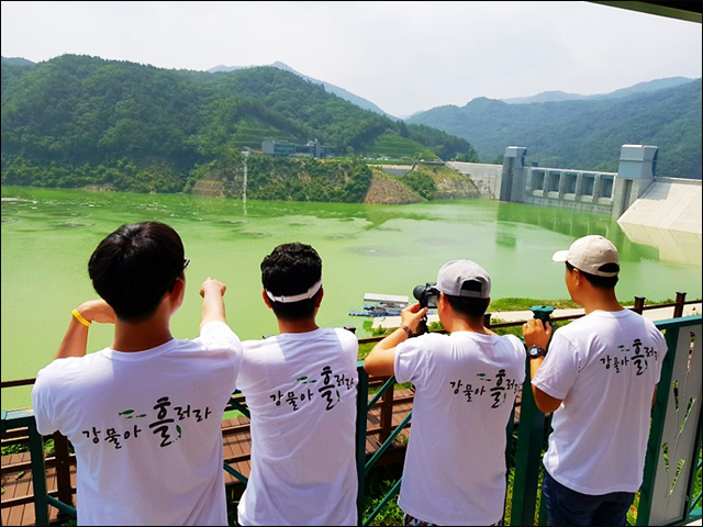 녹조라떼 배양소가 된 영주댐. 온통 초록이다. ⓒ 김종술