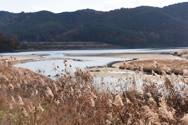 거의 이전 모습으로 복원된 황강 합수부. 이것이 살아있는 강의 모습이다 ⓒ 대구환경운동연합 정수근