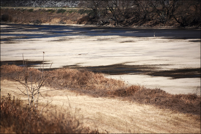 강물이 빠지자 되돌아온 회천의 모래톱. 거의 4대강사업 이전의 모습으로 되돌아왔다. ⓒ 대구환경연합 정수근