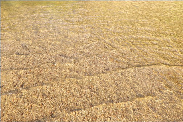 눈부시게 아름다운 모래강 내성천. 지구별 유일의 모래강 내성천. (2012) ⓒ 대구환경운동연합 정수근