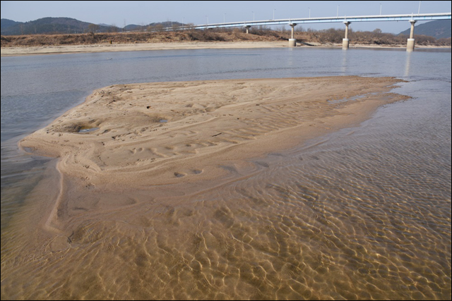 넓은 모래톱이 돌아오고 맑은 강물이 흐르는 강으로 회복된 낙동강. 4대강 재자연화가 실현되고 있는 현장이다 ⓒ 대구환경운동연합 정수근