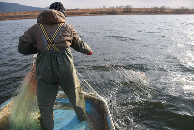 전상기 씨가 자망을 걷고 있다ⓒ 대구환경운동연합 정수근