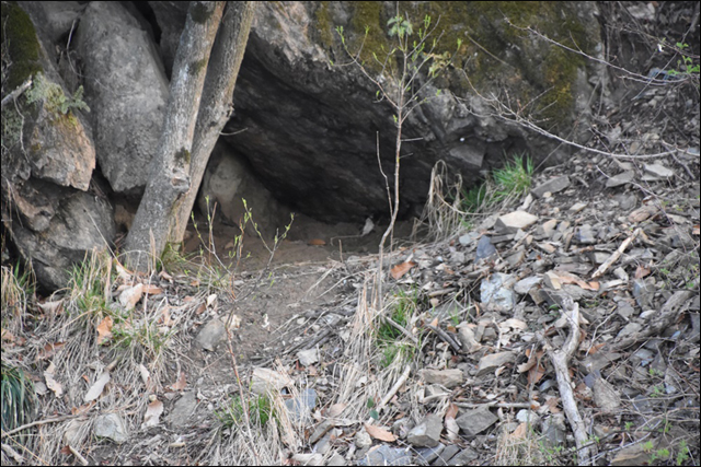 화원동산 하식애에서 발견한 수달 집으로 추정되는 작은 동굴이다. 한 수달 전문가는 저 동굴 안에 수달의 배설물이 분명히 있을 것이라면서 배설물의 흔적을 찾아보면 수달의 집임을 확인할 수 있다 했다. 또한 이곳에서 낚시를 즐겨하는 한 주민도 이곳에서 수달을 만난 것이 있다고 증언해주었다. ⓒ 대구환경운동연합 정수근