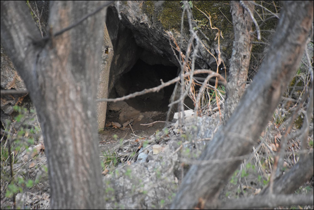 천연기념물이자 멸종위기 야생동물1급종인 수달 집으로 추정되는 작은 동굴이다. ⓒ 대구환경운동연합 정수근