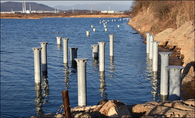 달성군의 엉터리 생태탐방로 때문에 낙동강의 강바닥에 직경 30센티가 넘는 강철 파일이 박혔다. 일제의 쇠말뚝이 연상 된다. ⓒ 대구환경운동연합 정수근