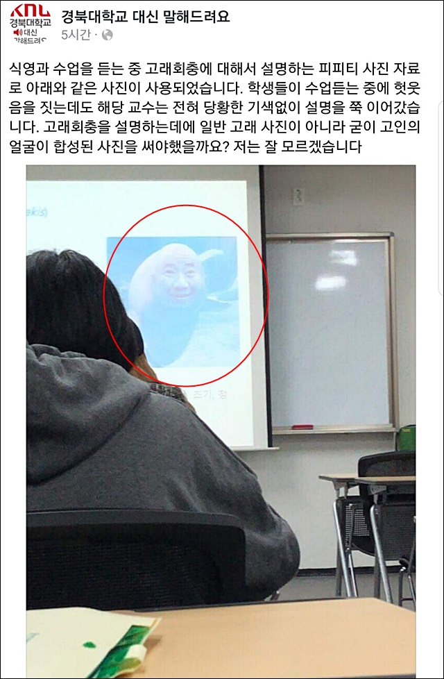 고래에 노무현 전 대통령 얼굴을 합성한 자료 / 사진 출처.'경북대 대신 말해드려요'