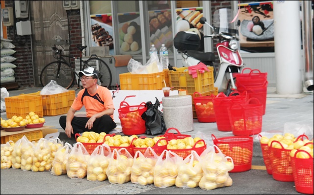 성주의 특산물인 참외를 시장에서 팔고 있는 한 상인(2018.5.27.성주읍) / 사진. 평화뉴스 김지연 기자