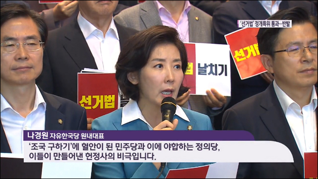 사진 출처. KBS 뉴스(2019.08.30, '패스트트랙' 선거법 첫 관문 통과…한국당 반발)