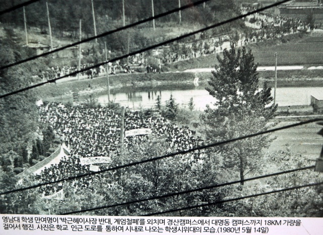 "계엄 철폐" 영남대 1만여명의 18km 행진(1980.5.14.매일신문 촬영) / 사진.평화뉴스 김영화 기자
