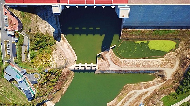 완공 후 매년 녹조현상이 나타나고 있는 낙동강 최상류 영주댐의 모습(2018년) / 사진.내성천보존회