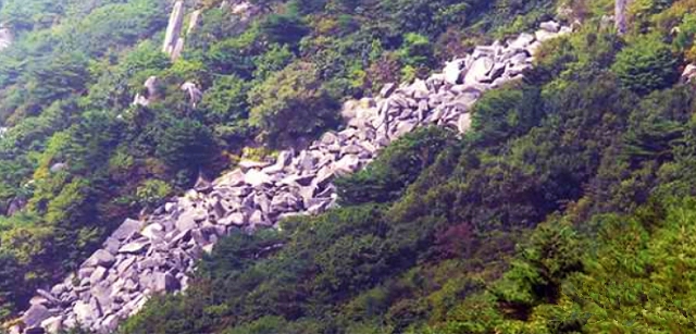 비슬산에 있는 천연기념물 제435호 암괴류 / 사진.문화재청