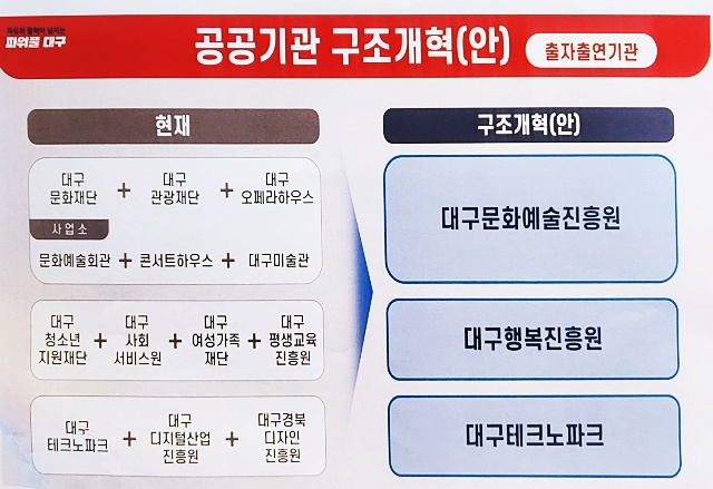 대구시 공공기관 구조개혁안 '출자출연기관' / 자료.대구시장인수위 제공