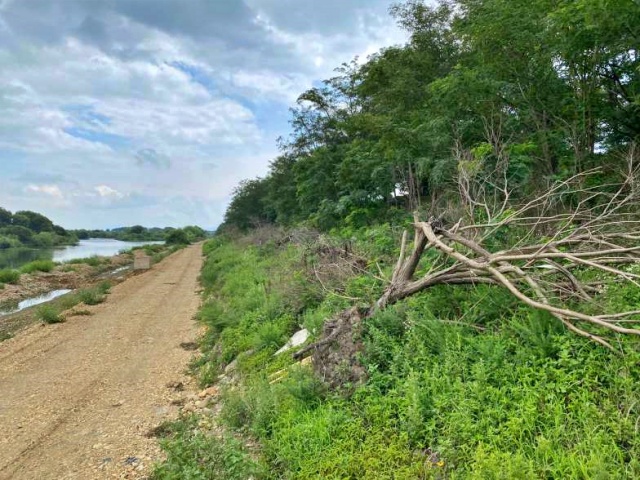 "수성구청 환경파괴 혈세탕진 금호강 산책로 공사 중단하라" 기자회견 / 사진.대구환경연