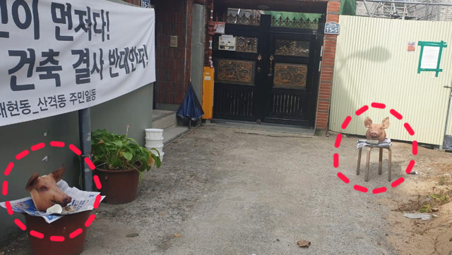 대구 북구 이슬람사원 건축 부지 앞 주민들이 설치한 돼지머리 2개(2022.11.24) / 사진.대책위 제공