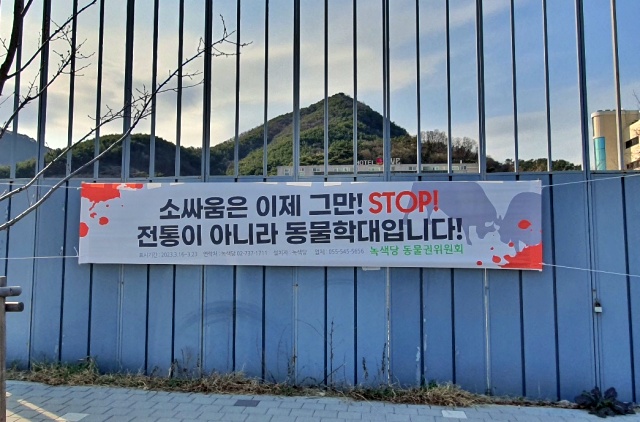 창원소싸움대회 앞 현수막 "전통이 아니라 동물학대, 소싸움 이제 그만"(2023.4.2) / 사진.녹색당