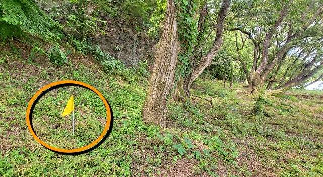 팔현습지 안에 공사 예정지를 따라 노란 깃발이 설치됐다.(2023.6.5) / 사진.평화뉴스 김영화 기자