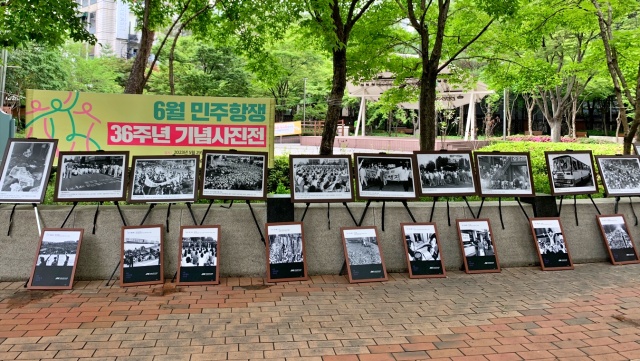 6.10항쟁 36주년 2023년 대구 기념 사진전 / 사진.대구경북열사추모연대