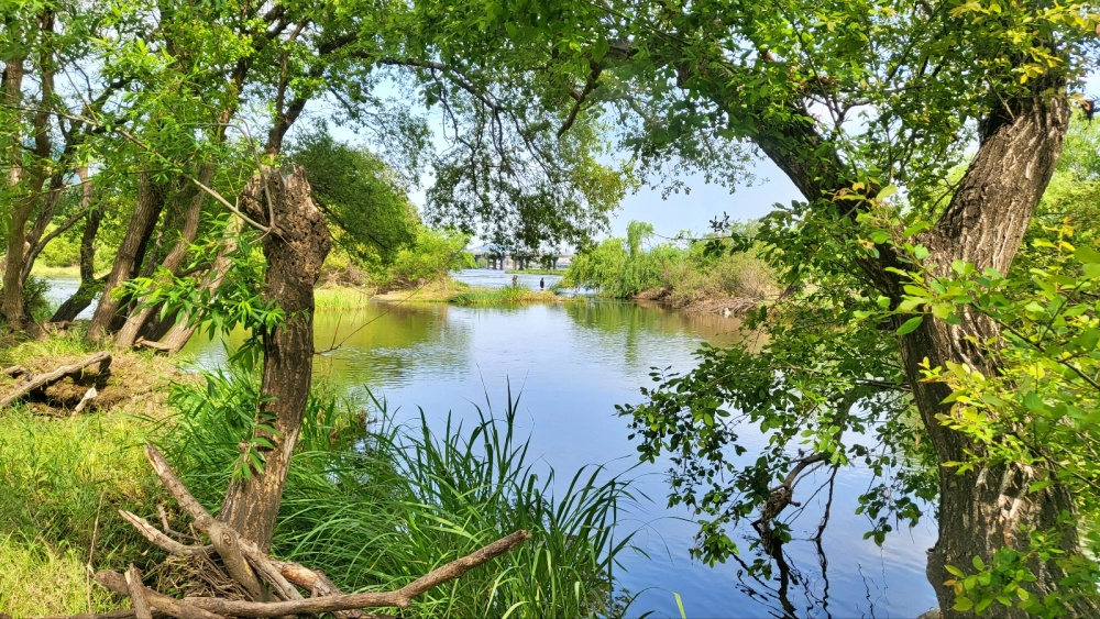 대구 금호강 팔현습지의 모습(2023.6.5) / 사진.평화뉴스 김영화 기자