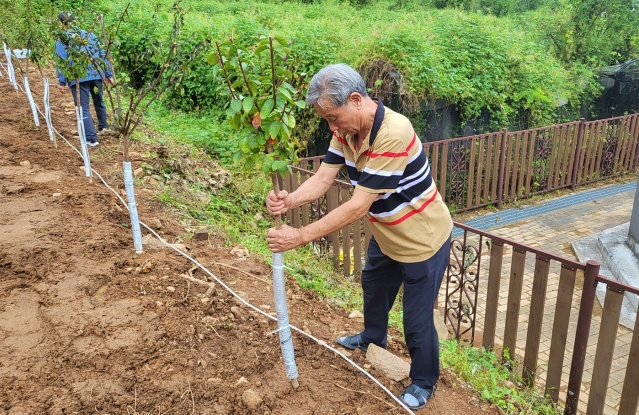 경산 코발트광산 민간인희생자 유족이 배롱나무를 심은 땅을 고르고 있다. (2023.9.22) / 사진. 평화뉴스 정준민 기자